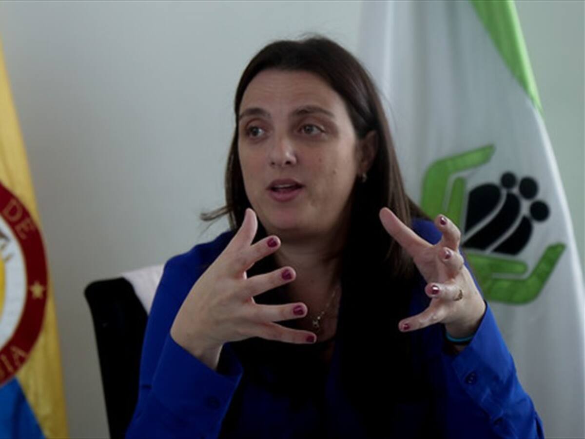 Renunció la directora del ICBF, Karen Abudinem