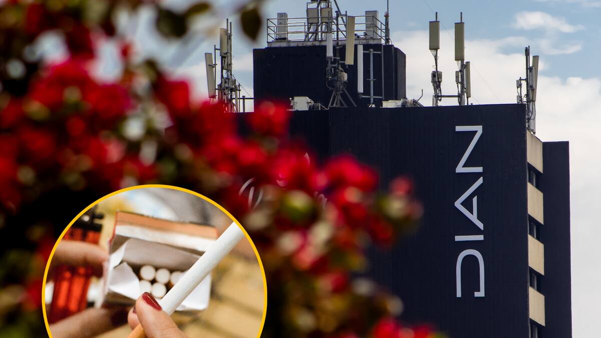 Dian restringió tránsito internacional de algunos cigarrillos en Colombia para evitar contrabando