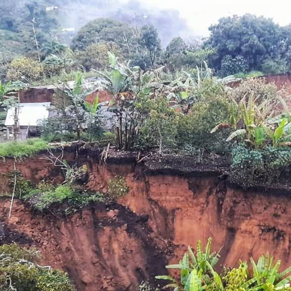 Emergencia en Cauca: Fuerza Aérea rescató a personas atrapatas por deslizamientos