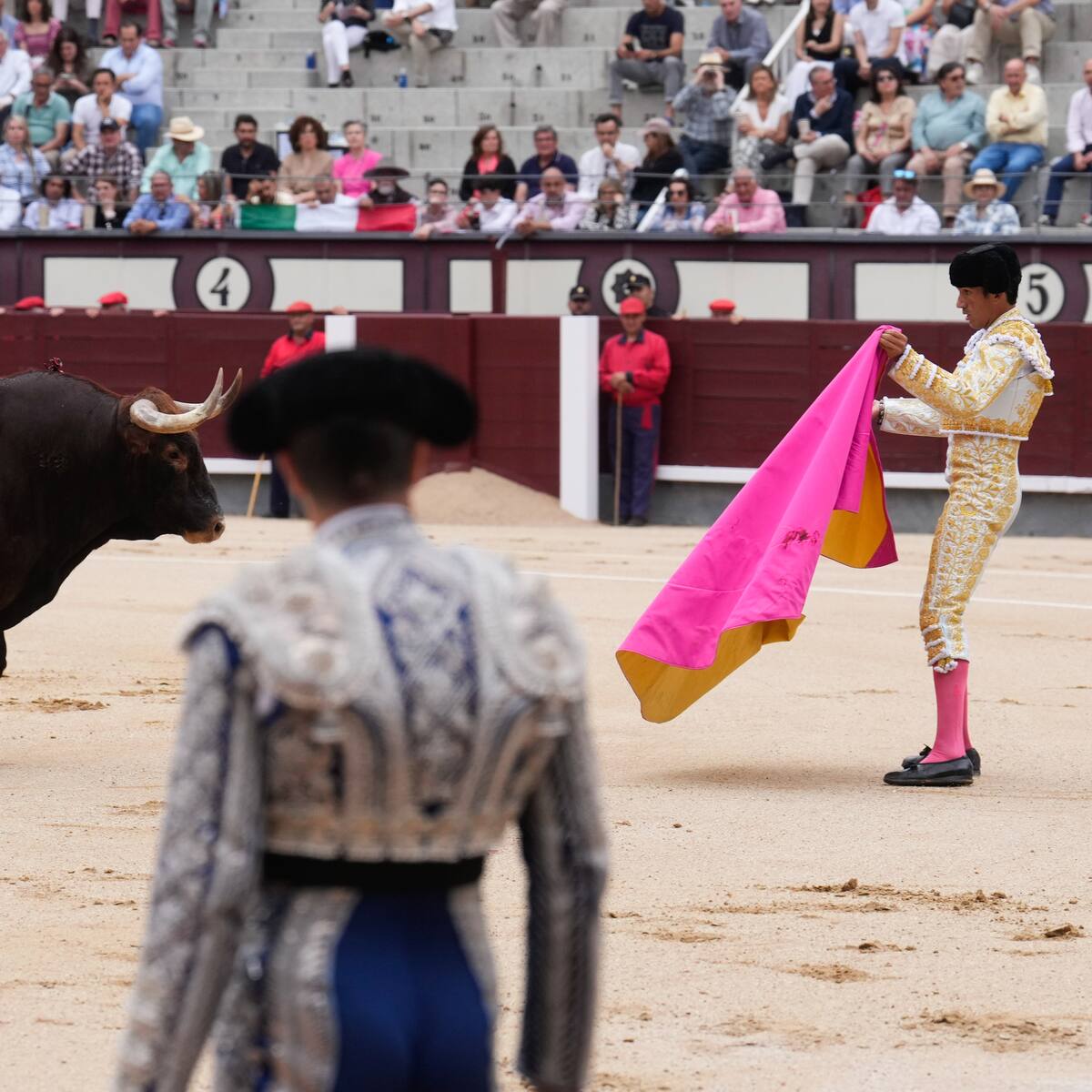 ¿Buscan impedir debate de proyecto que prohíbe las corridas de toros en Colombia?
