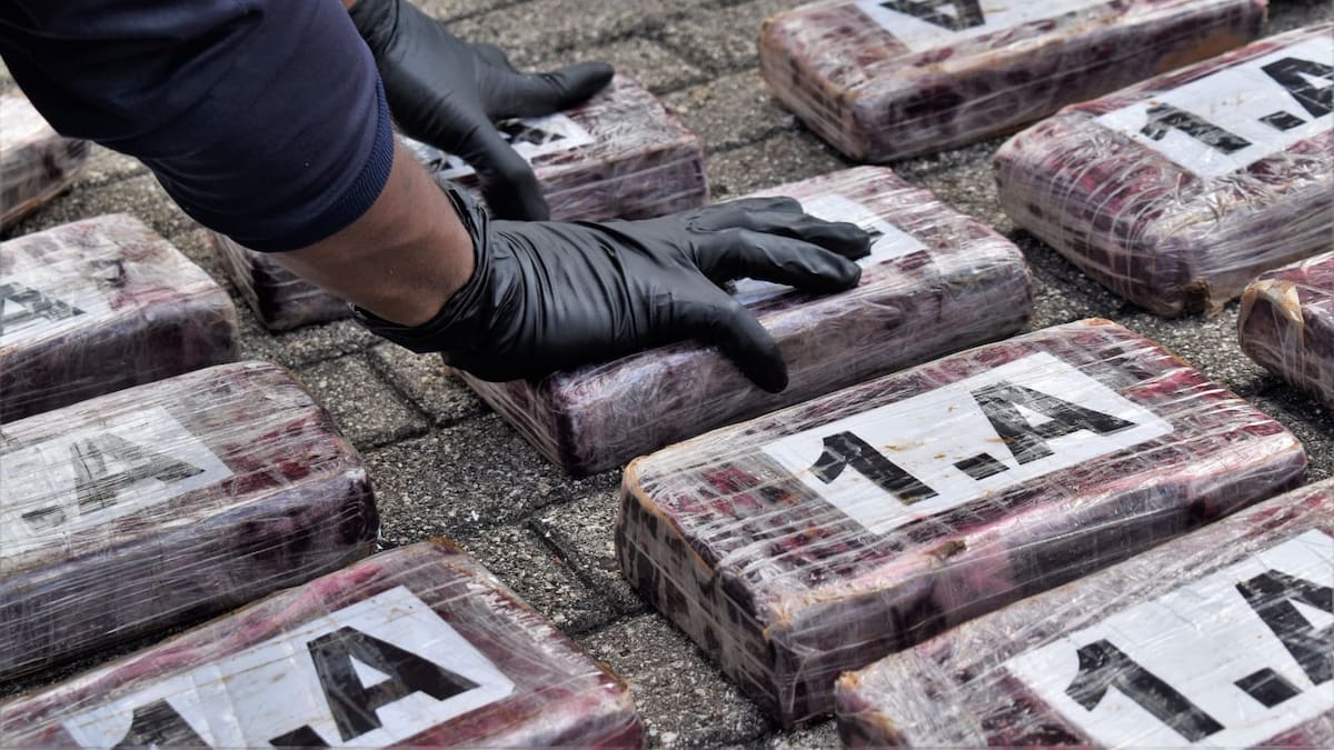 Más de 440 toneladas de droga fueron incautadas en operación liderada por Armada Nacional