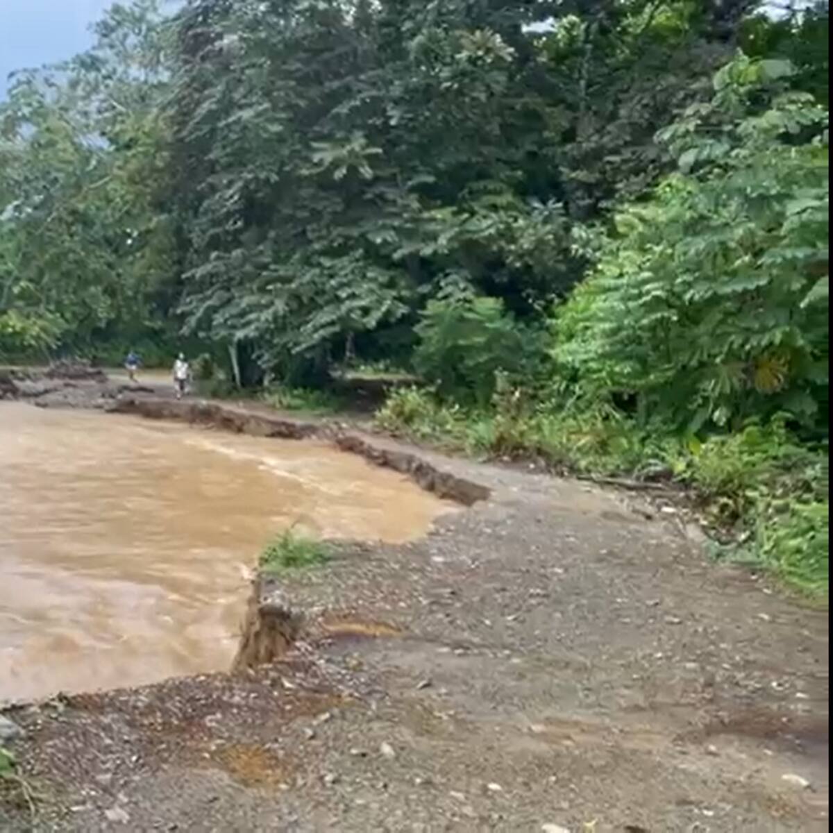 Niños ponen en riesgo su vida por falta de puente para cruzar un río en Capurganá, Chocó