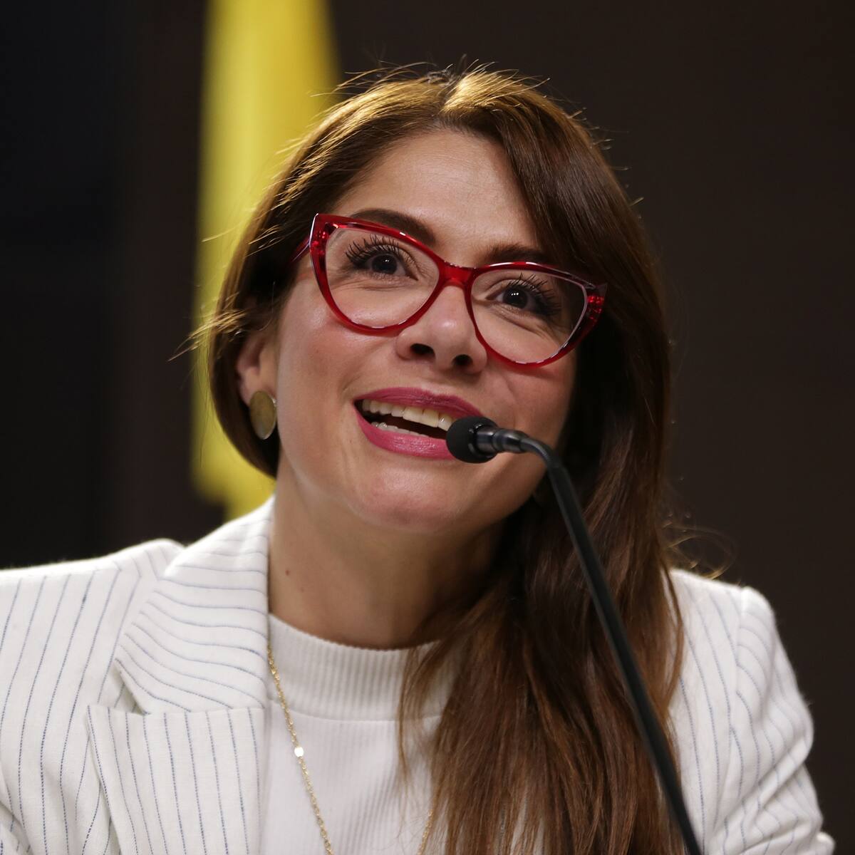 Fiscal Monsalve denunció ante la Corte a Catherine Juvinao