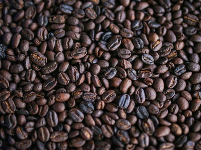 Producción del grano de café cayó 4% en noviembre. Foto: Torres/Anadolu Agency via Getty Images