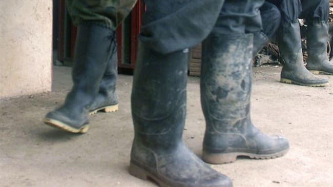 Lideresa en Putumayo denunció amenazas por presunto favorecimiento a disidencias de las Farc. Foto: Carlos Villalon/Getty Images