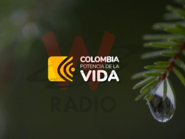 Colombia Potencia de la Vida: Gobierno lanza nueva imagen y slogan