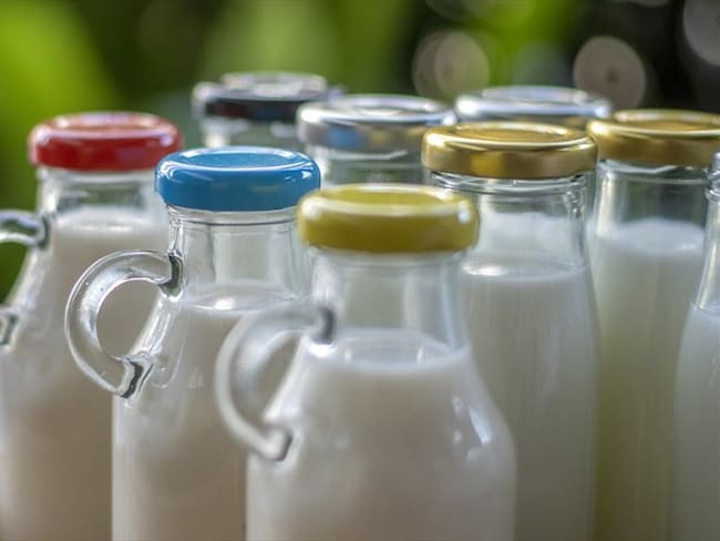 Preocupación en el sector ganadero del país por importaciones de leche