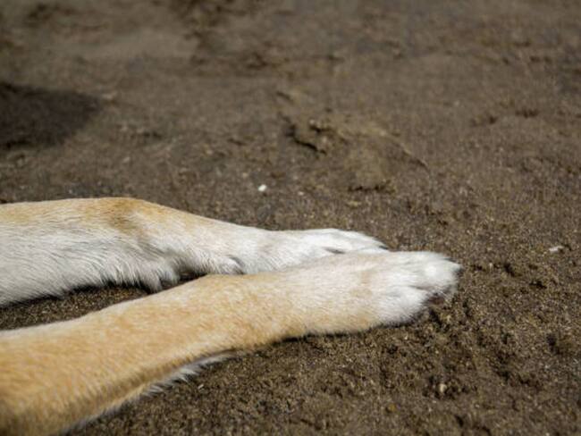 Imagen de referencia/ Getty Images