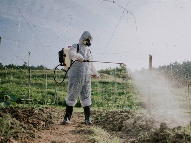 El uso del glifosato es una decisión del Gobierno de Colombia: INL Bogotá