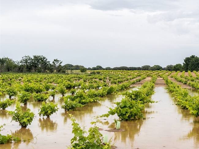 Alerta naranja por fuertes lluvias en el Huila / Imagen de referencia. Foto: Getty Images