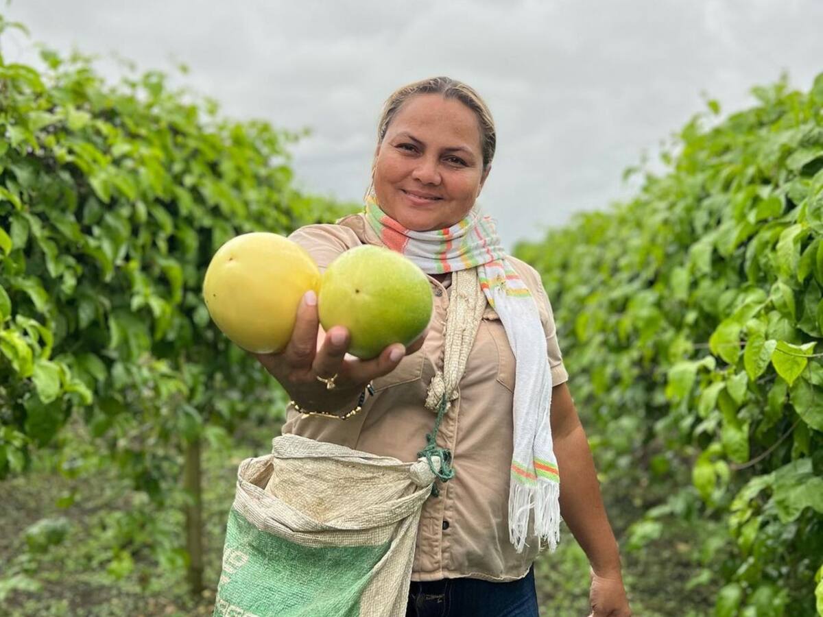 Antioquia: Descubriendo los Tesoros de la Costa