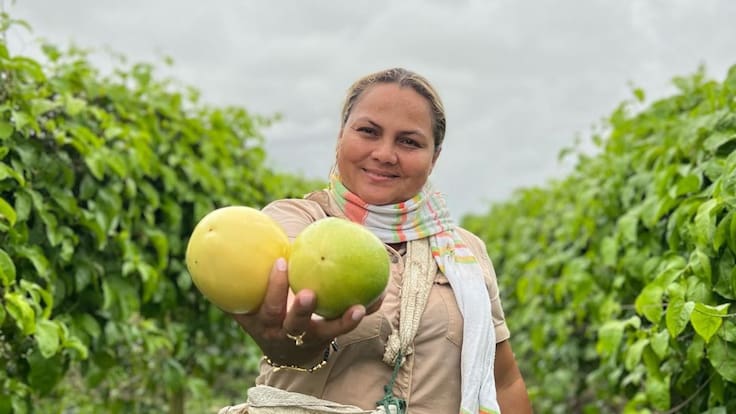 Antioquia: Descubriendo los Tesoros de la Costa