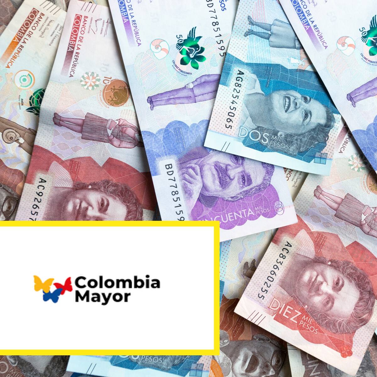 Pago Colombia Mayor febrero 2025: Consultar beneficiarios con número de cédula