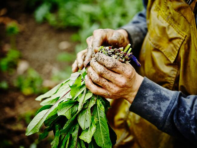 Queremos que los campesinos se conviertan en empresarios: gobernadora del Atlántico