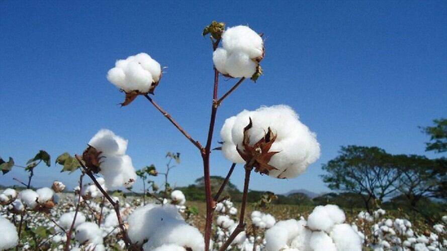 Imagen de referencia. Foto: Colprensa