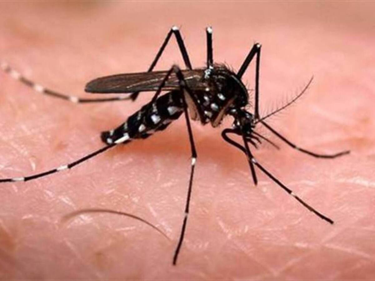 Preocupación por aumento de casos de dengue en Barranquilla