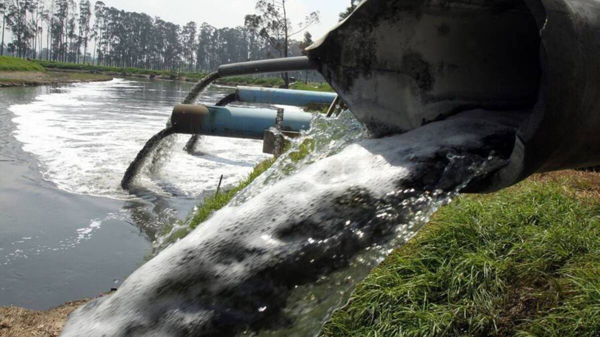 Triple A responde a vertimientos en la Ciénaga de Mallorquín