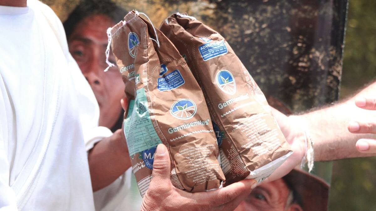 Proyectos de huertas y viveros llegan a comunidades rurales en Santa Marta