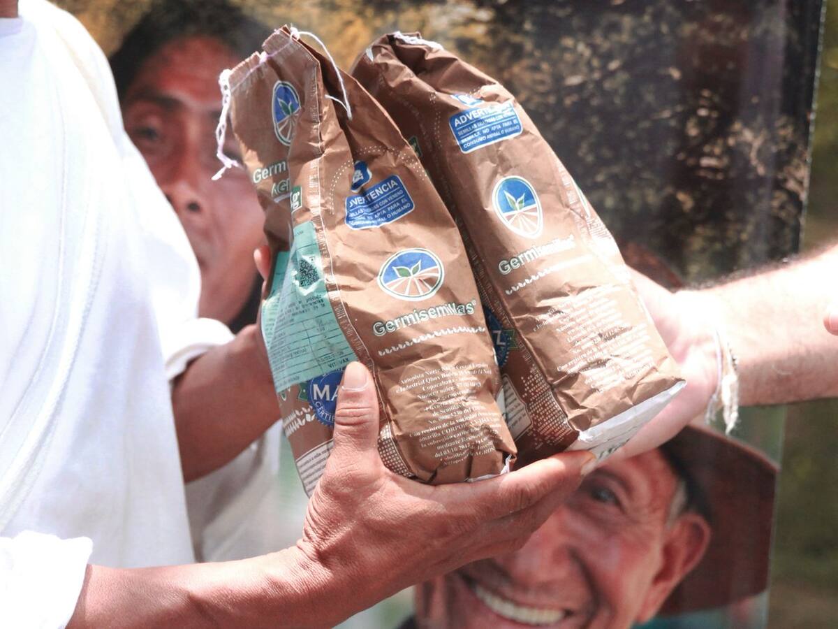 Proyectos de huertas y viveros llegan a comunidades rurales en Santa Marta