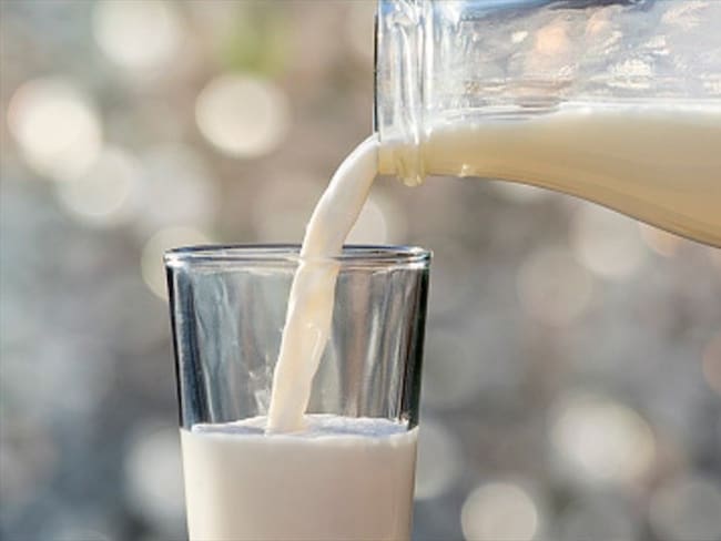 ¿Es más saludable consumir la leche entera?