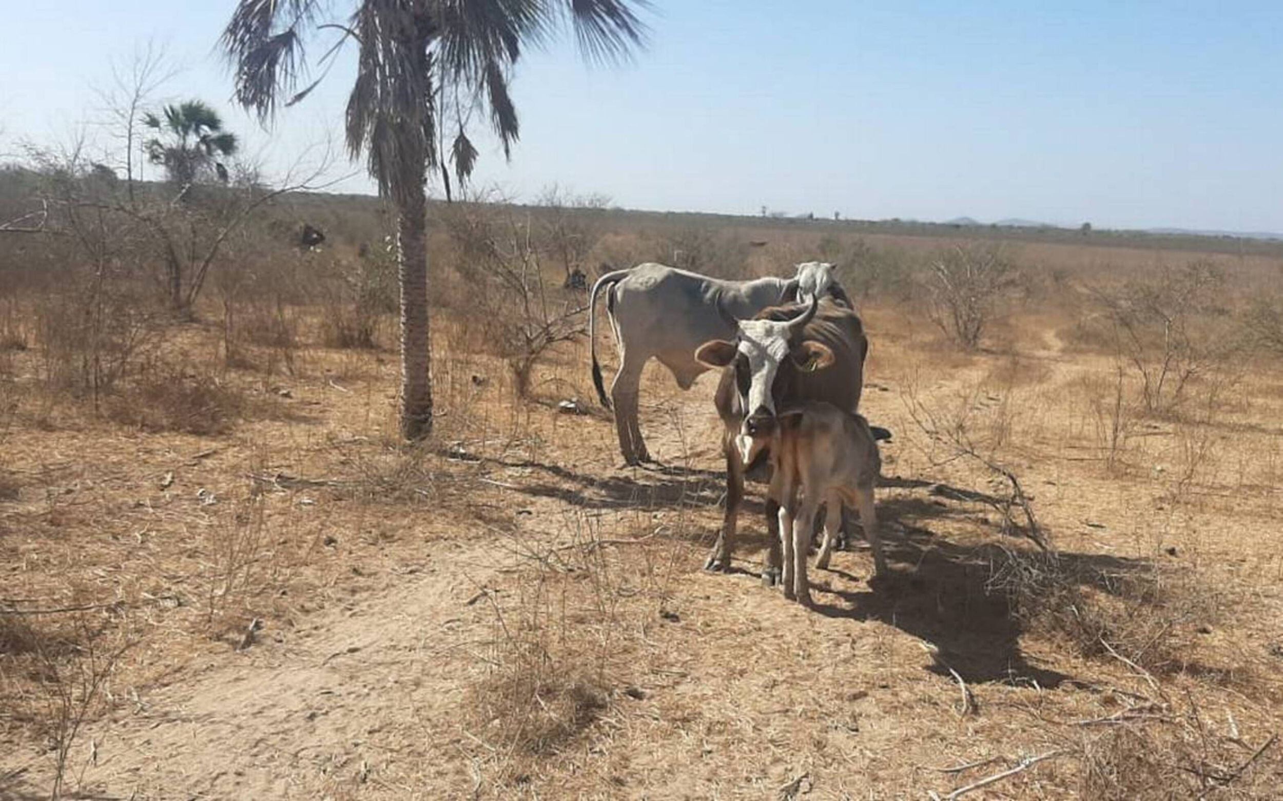 Imagen de referencia. Foto: Colprensa.(Thot)