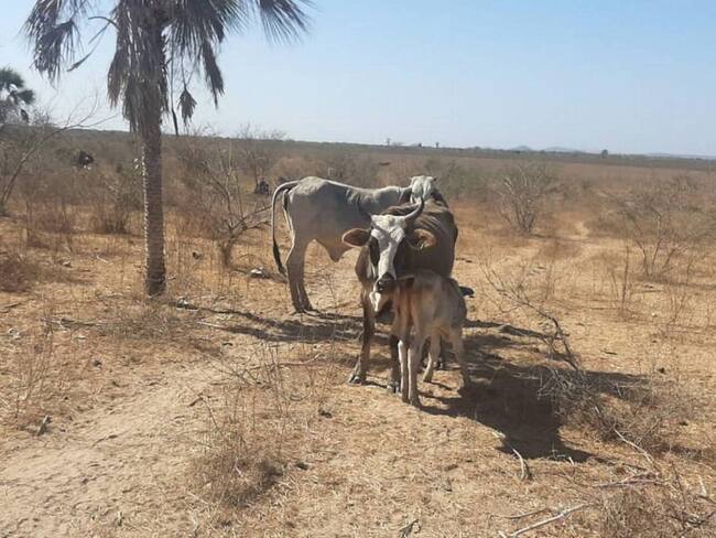 Imagen de referencia. Foto: Colprensa.(Thot)