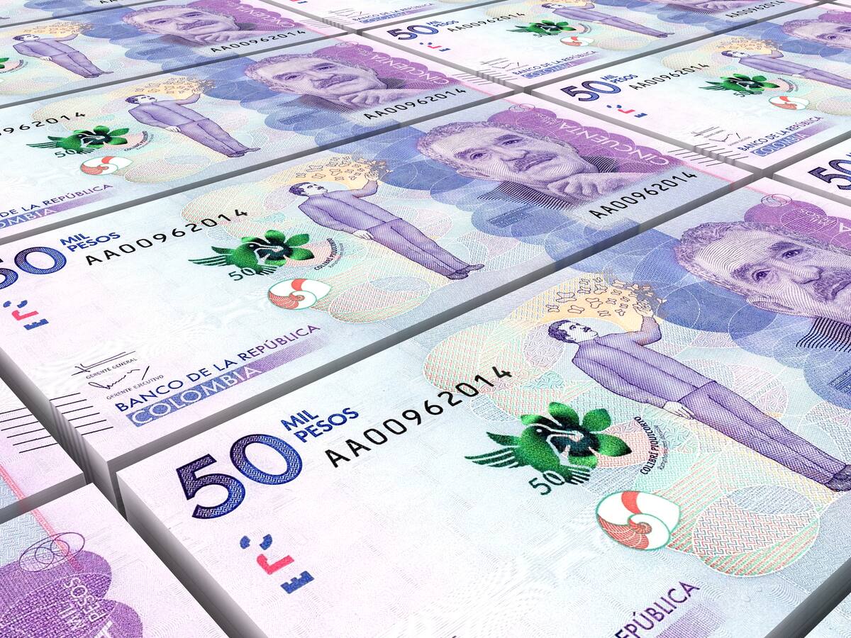 ¿Las armas de las Convivir se compraron con dinero público?