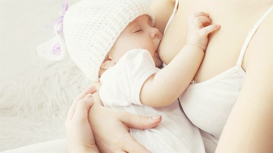 Importancia de las proteinas en la infancia . Foto: Redacción Comercial