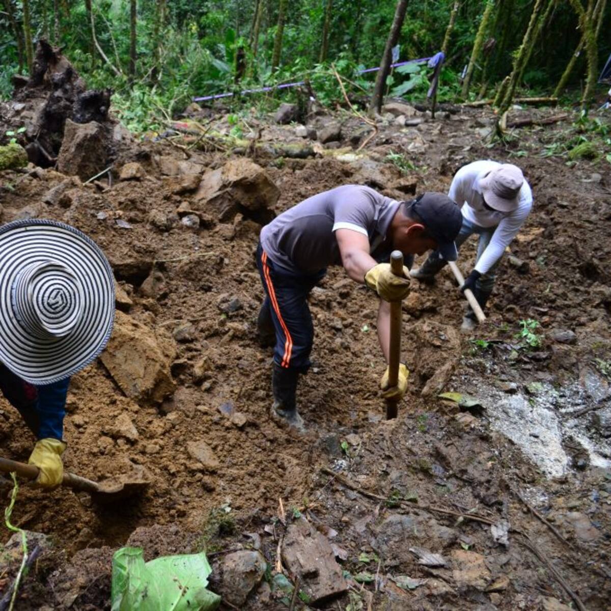 Hallan en el Meta los restos de tres indígenas reclutados por las Farc