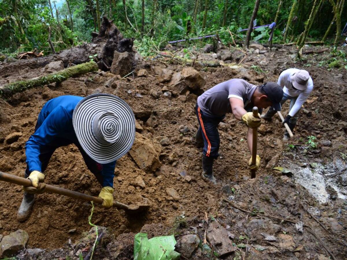 Hallan en el Meta los restos de tres indígenas reclutados por las Farc