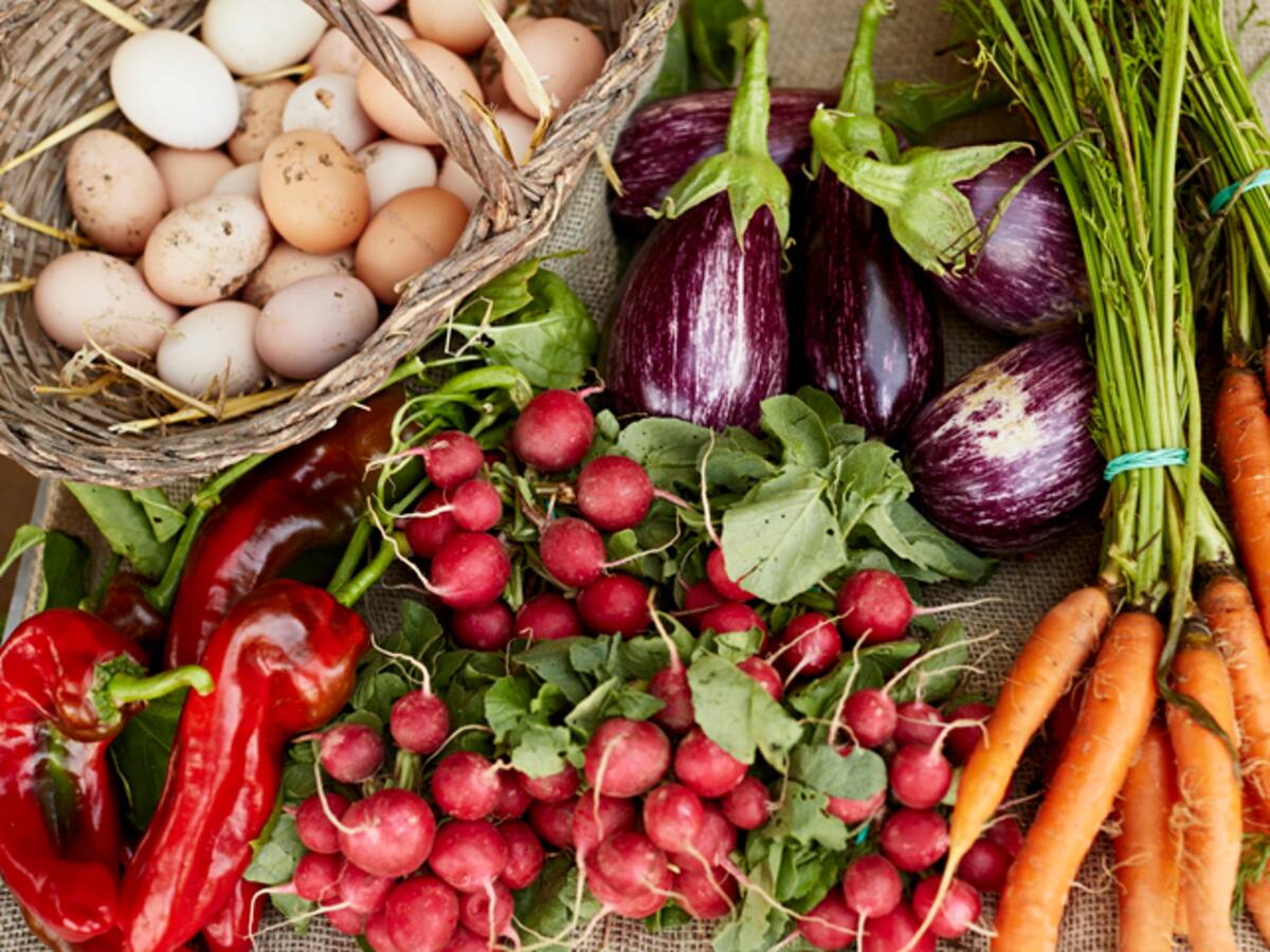 En Latinoamérica es necesario mejorar el acceso a alimentos más saludables: FIDA