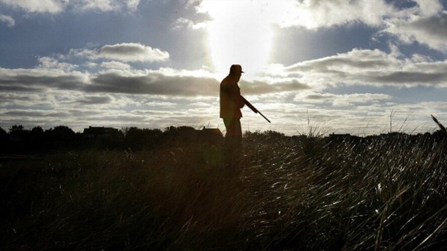 Caza deportiva es inconstitucional: Procuraduría. Foto: Getty Images