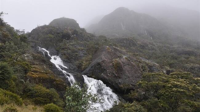 Páramo de Santurbán. Foto: Colprensa