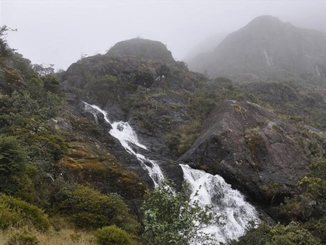 Páramo de Santurbán. Foto: Colprensa