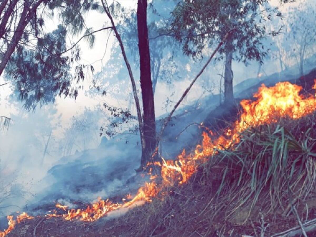 Así atienden una emergencia los bomberos de Garagoa, Boyacá
