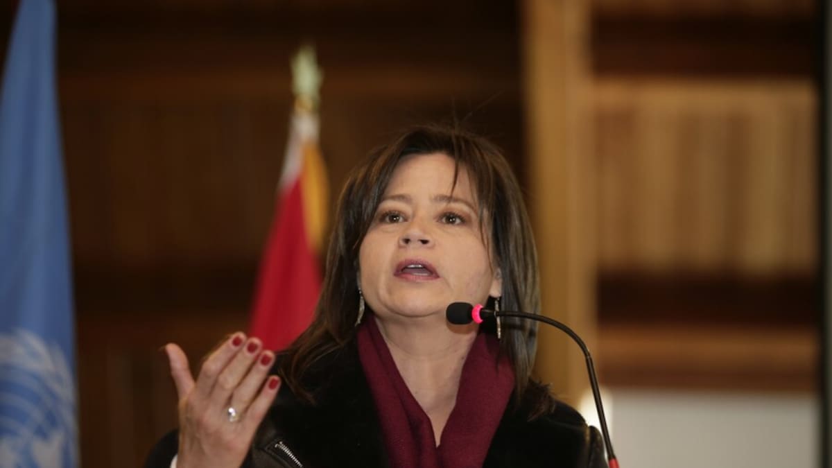 Entiendo las molestias, pero claro que sí hemos avanzando: MinTransporte sobre paro de camioneros