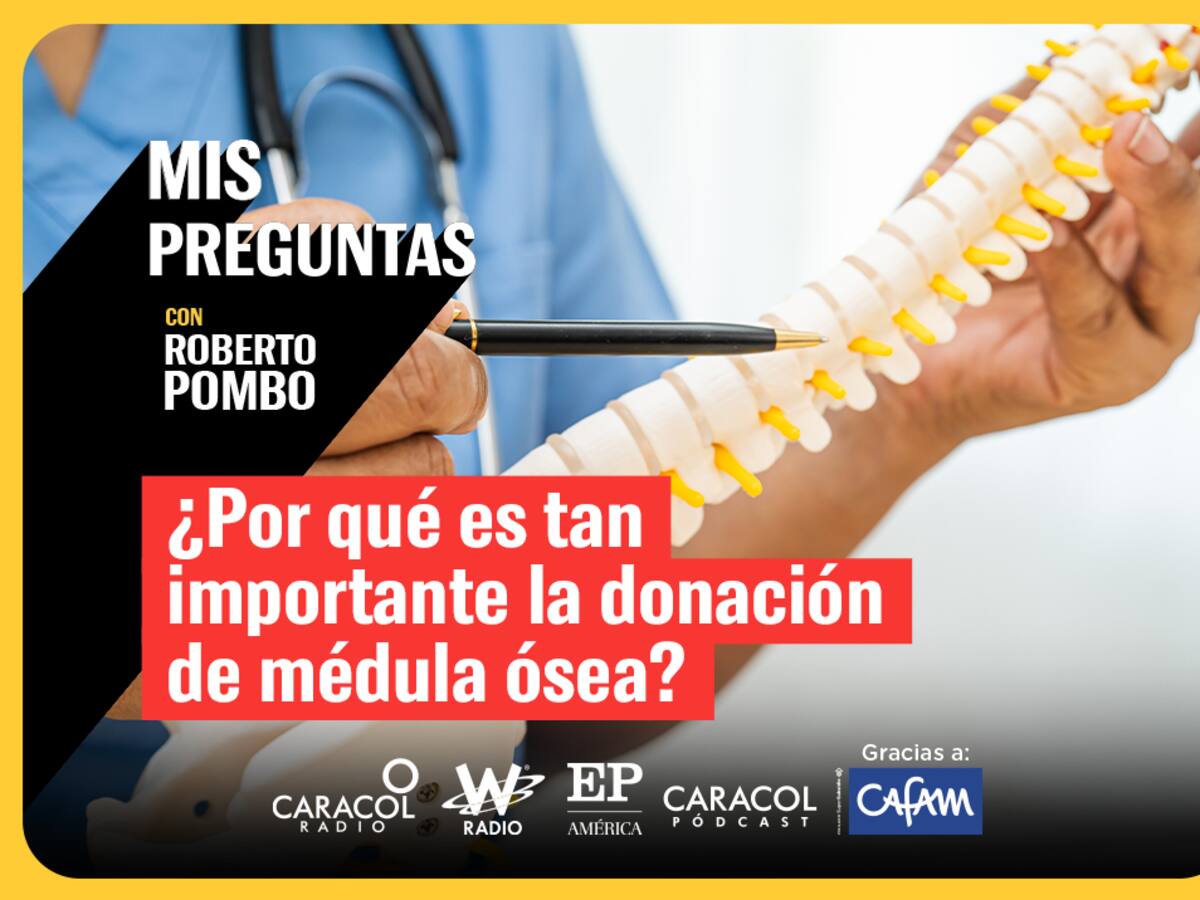 ¿Por qué es tan importante la donación de médula ósea?