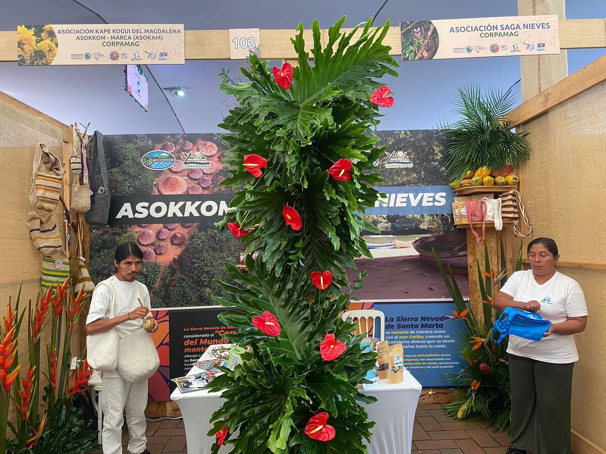 El Magdalena presente en la COP 16