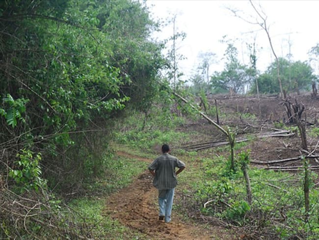 URT aseguró que reparación de víctimas de las Farc debe darse con devolución de tierras. Foto: Colprensa