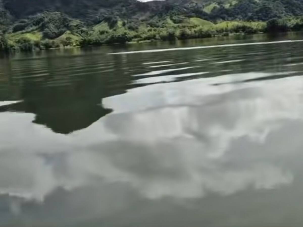 Comunidad en Caldas pide levantar restricciones en laguna donde murieron 15.000 peces