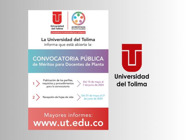 Universidad del Tolima abrió convocatoria para profesores de planta, ¿cómo inscribirse?