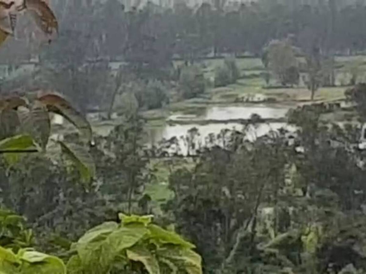 Más de 68.000 litros de leche diarios se han perdido en Boyacá por el invierno