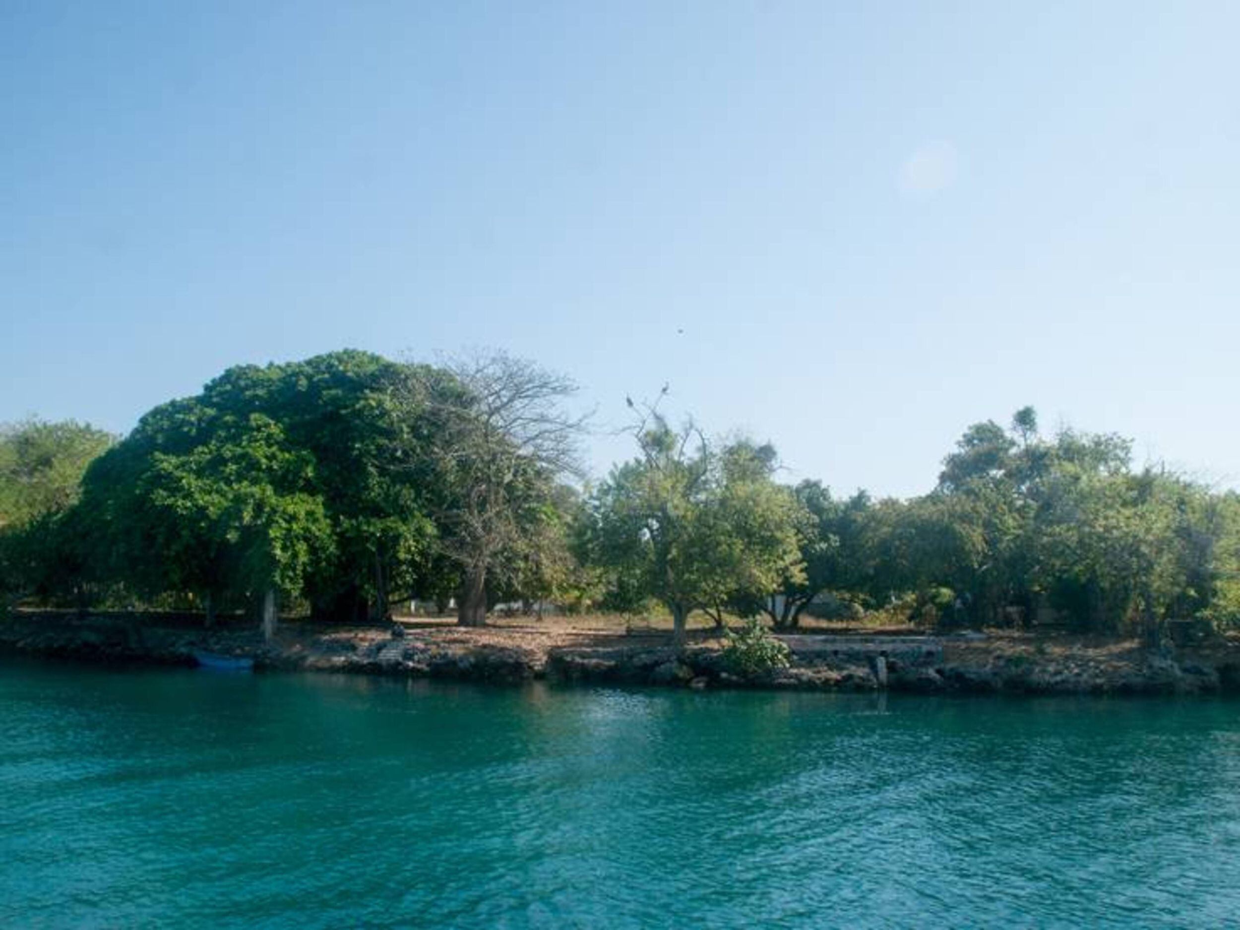 Denuncian que Islas del Rosario se entregan “a dedo”