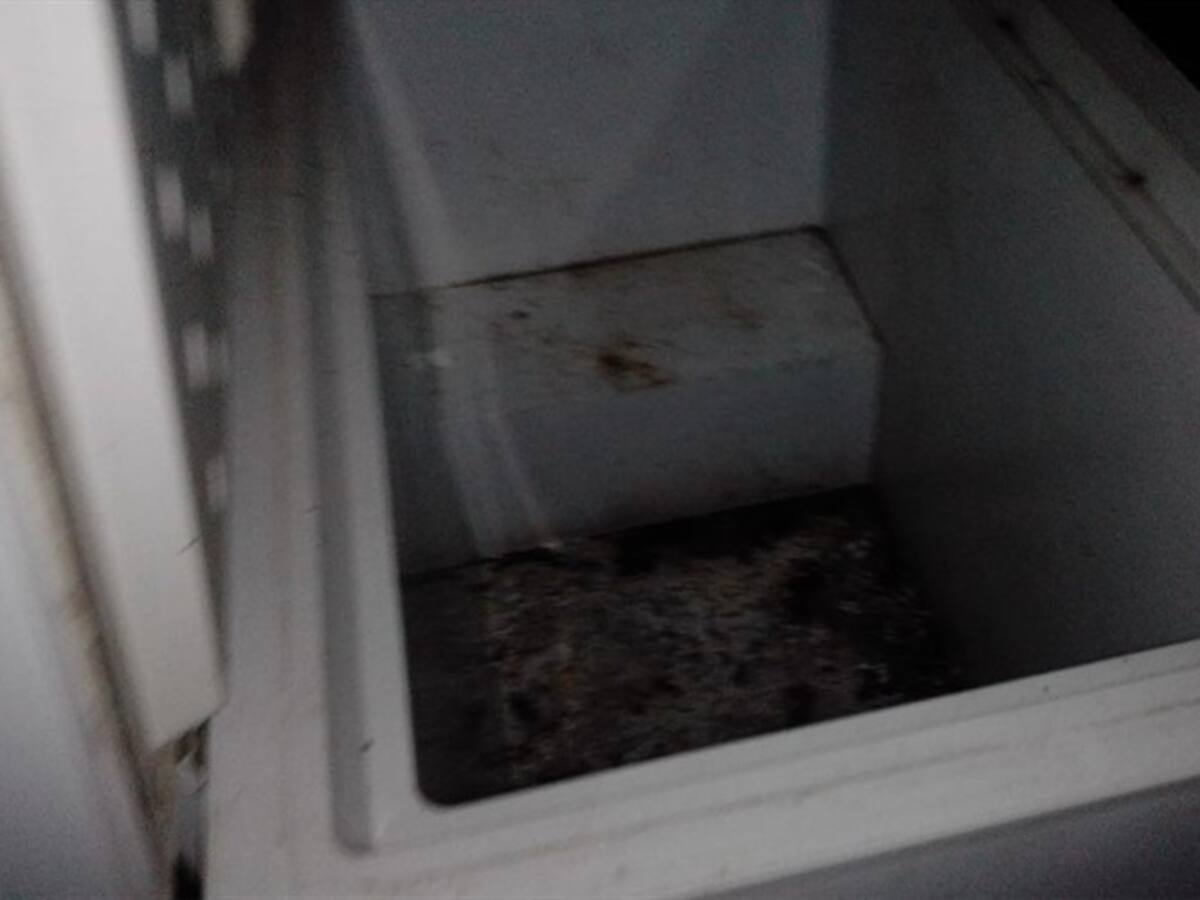 Ratas e insectos, el hallazgo de la Contraloría en comedor escolar de Santa Marta