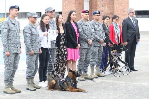 Perros de la Fuerza Aérea Colombiana. Foto: Cortesía FAC.