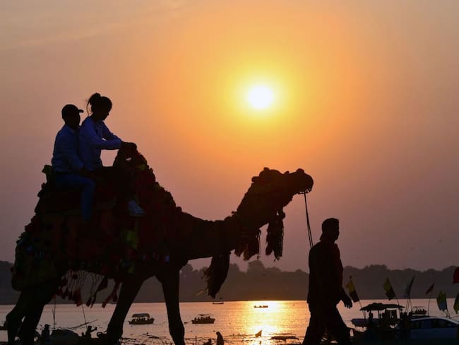 Así son las carreras de camellos en Qatar, el deporte favorito de los anfitriones