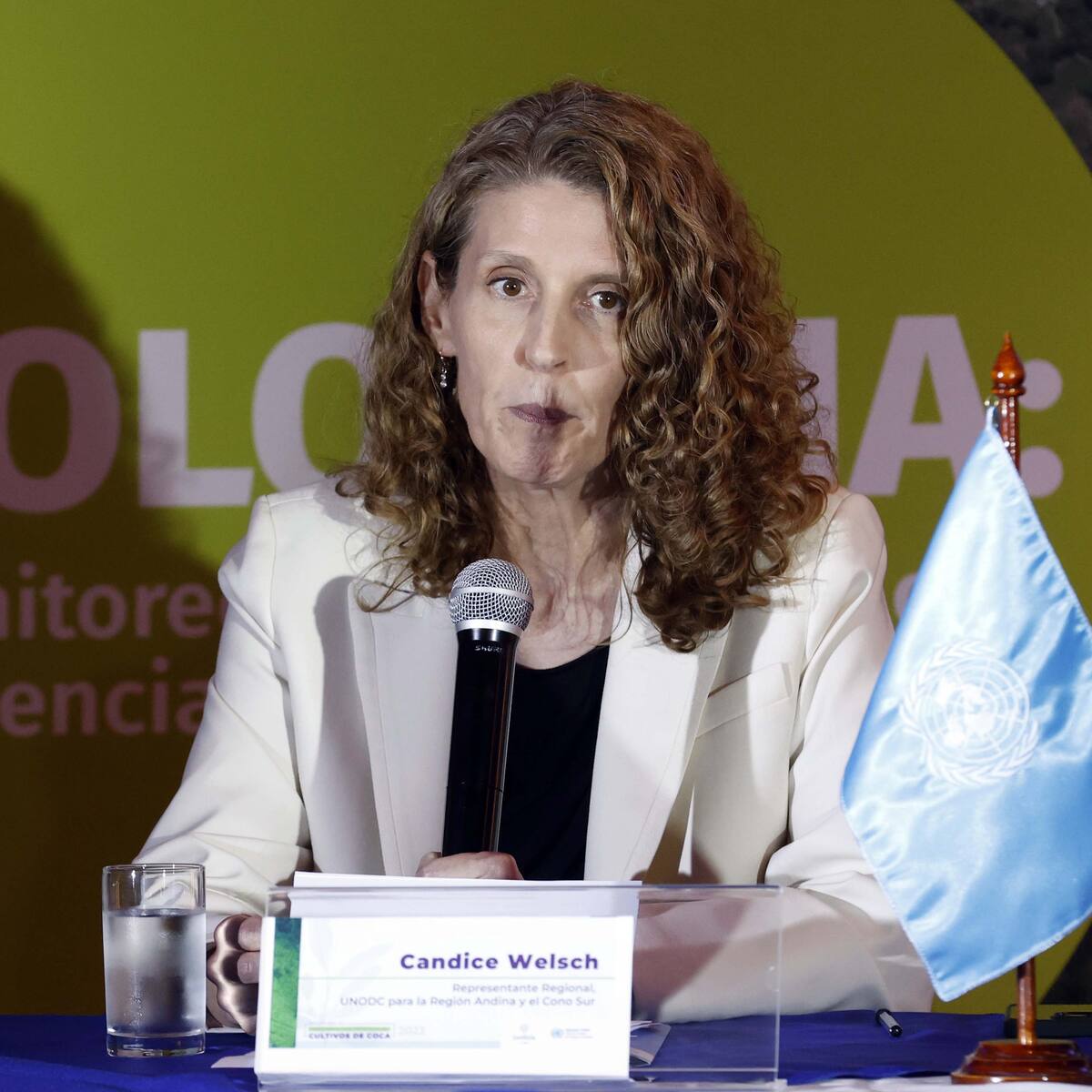 “El Gobierno no está hablando de legalizar la cocaína”: Candice Welsch