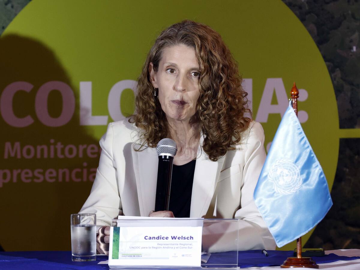 “El Gobierno no está hablando de legalizar la cocaína”: Candice Welsch
