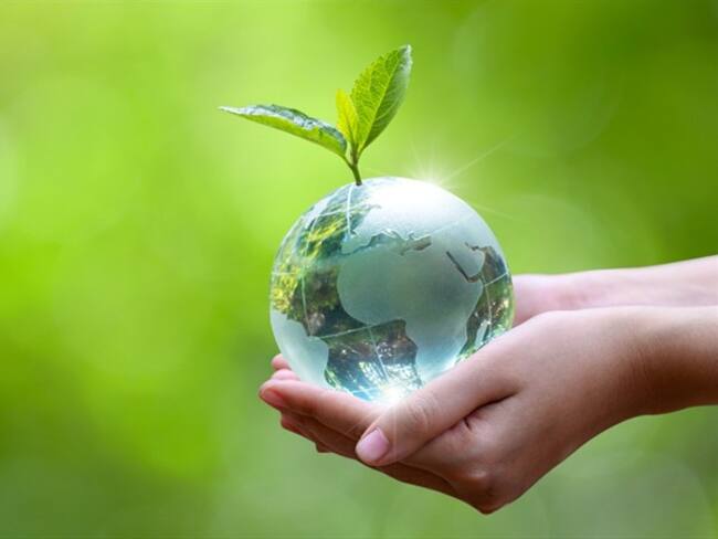 ¿Cuáles acciones se deben emprender para salvar la Tierra? #EsUrgente. Foto: Getty Images