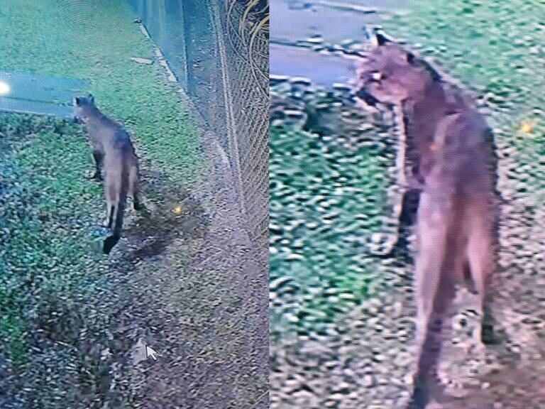 Archivo foto Corpocaldas